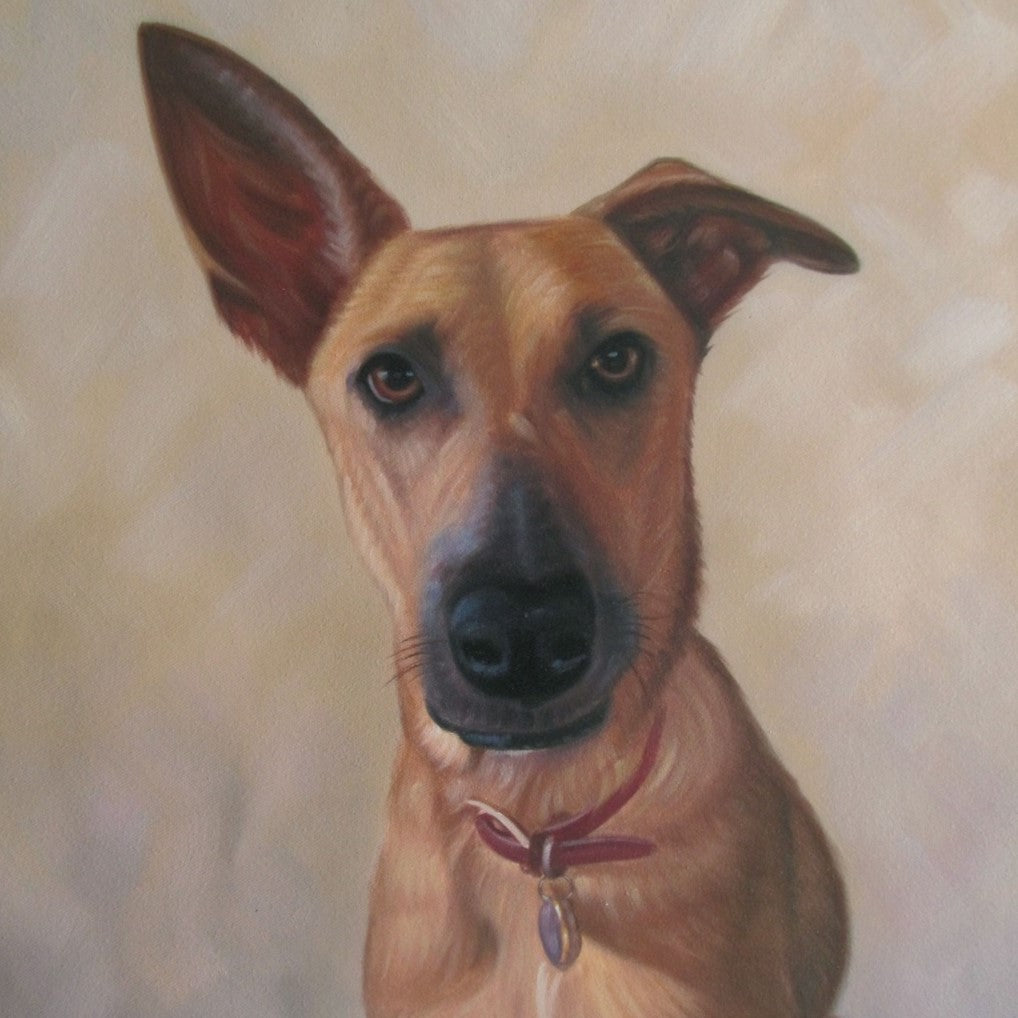 Custom Pet Portrait Oil Painting
