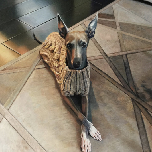 Dog wearing a knitted sweater on a wooden floor