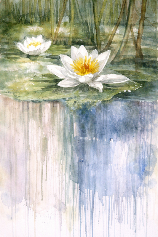 Stillwater Bloom