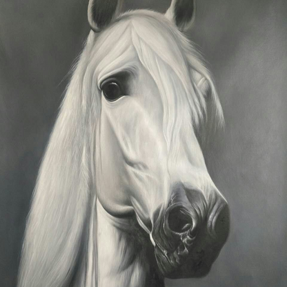 Artistic depiction of a horse's head on a gray background