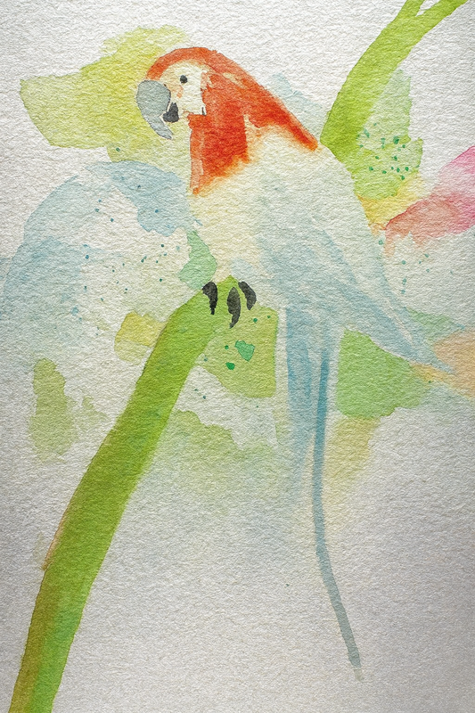 Pastel Perch - Avalie