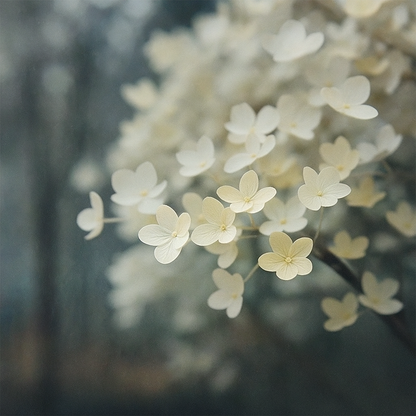 Ivory Bloom - Avalie