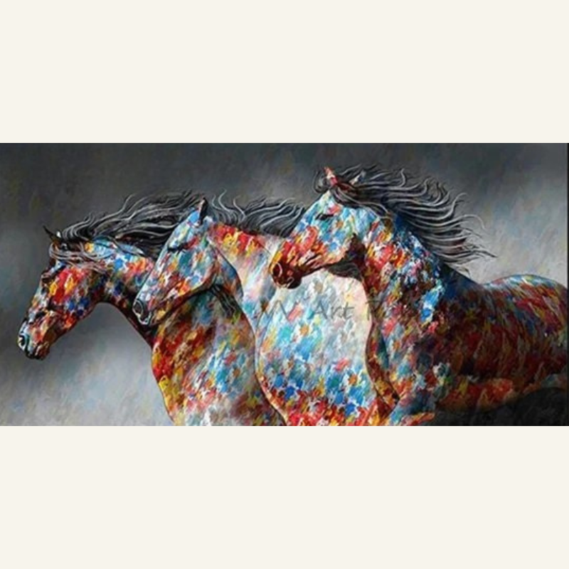 Gallop in Color - Avalie
