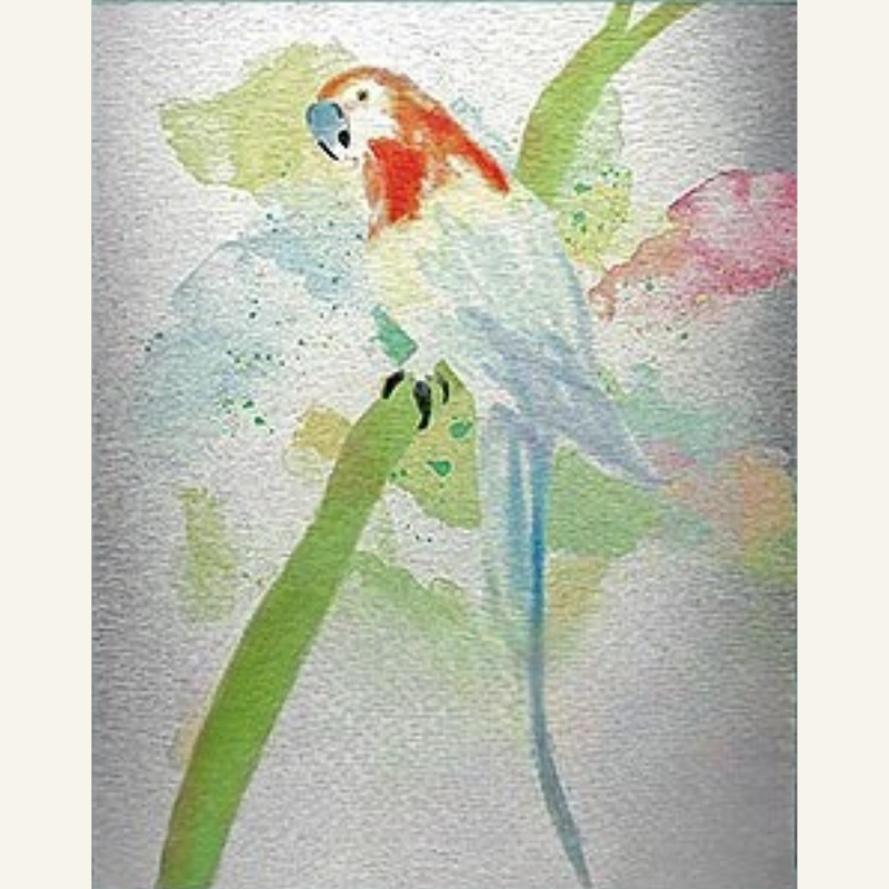 Pastel Perch - Avalie