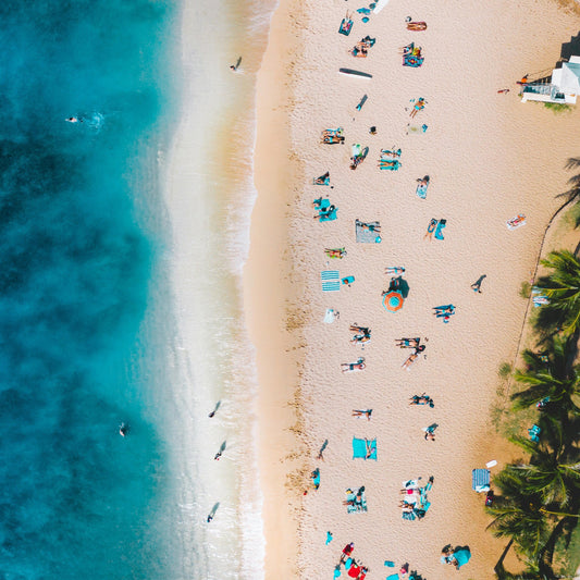 Aerial view of a beach with people and palm trees